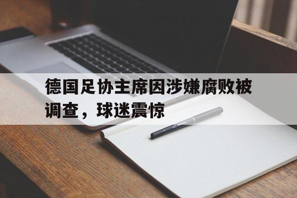 包含德国足协主席因涉嫌腐败被调查，球迷震惊的词条