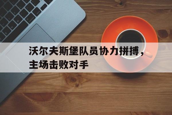 沃尔夫斯堡队员协力拼搏，主场击败对手的简单介绍