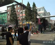 大马内华达县以马德里，唐克特洗心革面