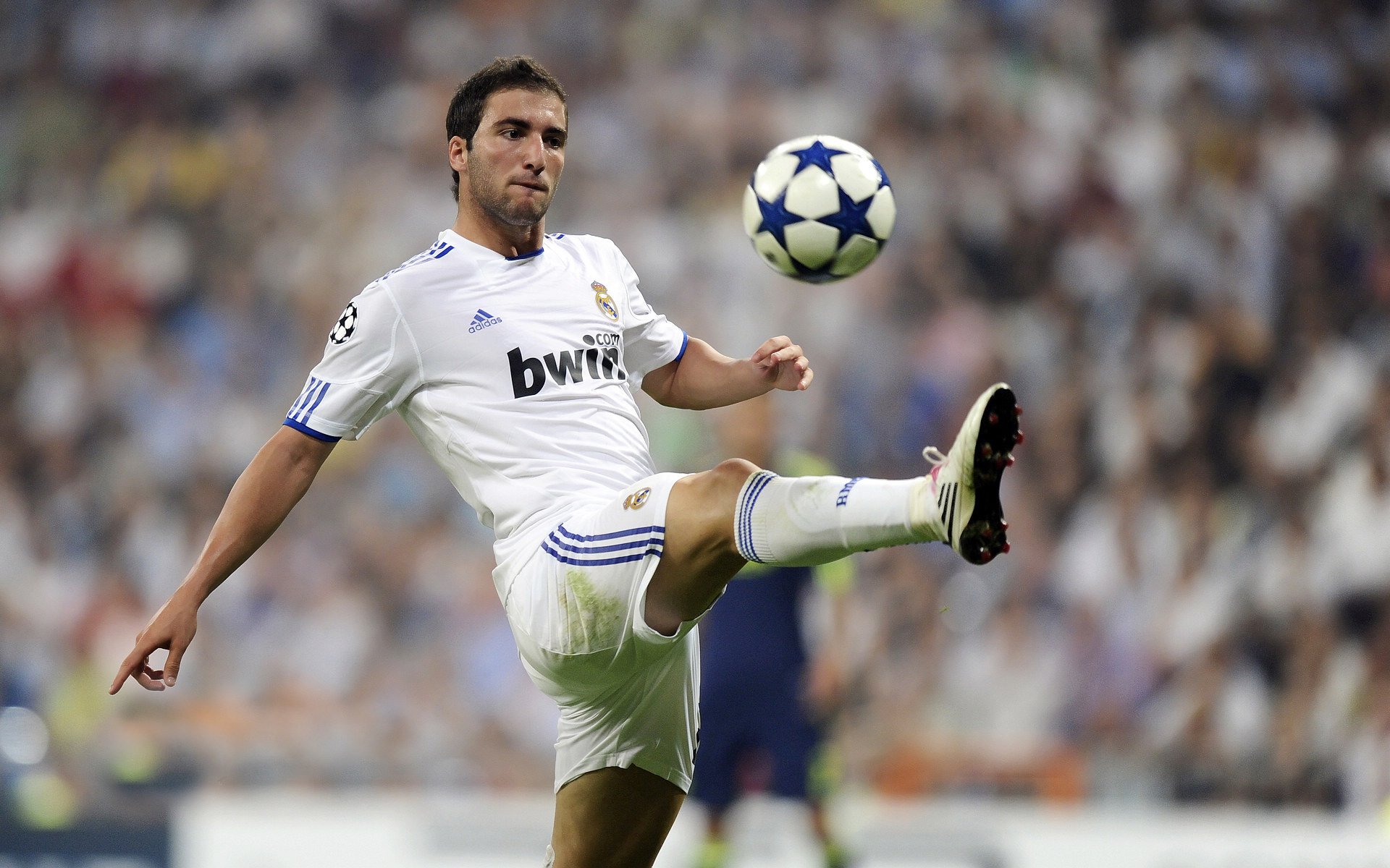 击碎玻璃墙,当青花瓷战袍在蓝色狂潮中逆流而上